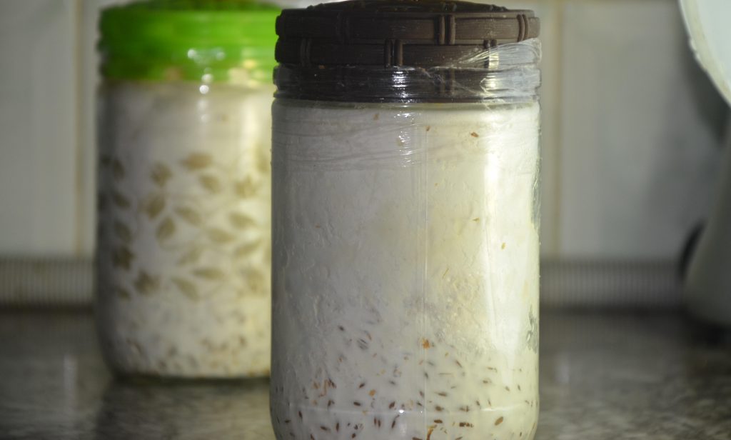 Mycélium de champignons Maroc